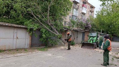 Клен, який впав на гараж у Київському районі Харкова