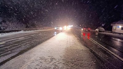 Повалені дерева та обмеження руху на дорогах: наслідки снігопаду на Закарпатті