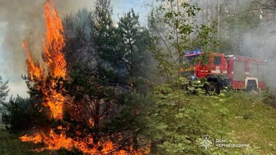 Пожежа в екосистемі на Чернігівщині та техніка рятувальників