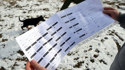 У Житомирський кінологічний центр привезли 3-х цуциків. Для майбутньої служби у поліції У Житомирський кінологічний центр привезли 3-х цуциків. Для майбутньої служби у поліції