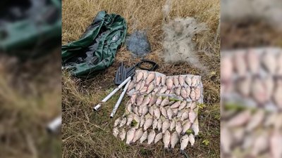 Риба На Чернігівщині: рибалка з Прилуччини незаконно наловив карасів на майже 114 тис. грн