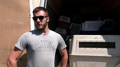 Волонтер, який евакуйовує тварин з населених пунктів, де тривають бойові дії Волонтер, який евакуйовує тварин з населених пунктів, де тривають бойові дії