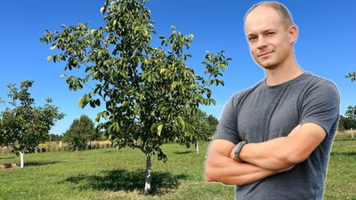 житомир, горіхи, фермер, поради, 14 вересня 2025 року
