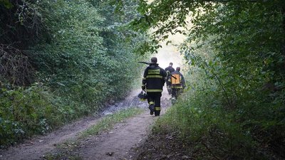 Лісову пожежу на Закарпатті, яка тривала дві доби, загасили