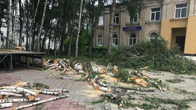 В громаді на Волині 20 людей звернулися в селищну раду за компенсацією через негоду В громаді на Волині 20 людей звернулися в селищну раду за компенсацією через негоду
