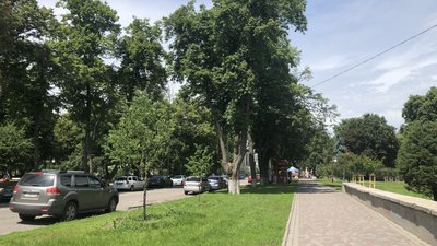 Як пішохідна вулиця може змінити Полтаву – думка урбаніста Як пішохідна вулиця може змінити Полтаву – думка урбаніста