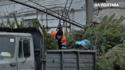 Полтавські комунальники економлять на опаленні завдяки новорічним ялинкам
