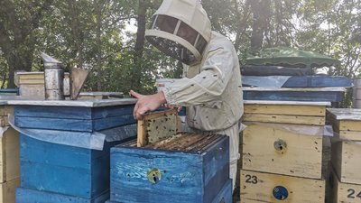Родина пасічників Родина пасічників