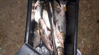 За два дні - 17 порушень: на Херсонщині любителі порибалити нехтують правилами За два дні - 17 порушень: на Херсонщині любителі порибалити нехтують правилами