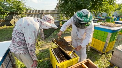 Пасіка з очерету на Чернігівщині