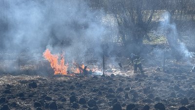 Понад 170 пожеж сухої трави загасили з початку року на Закарпатті