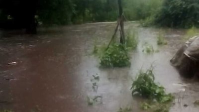 Після зливи у Пановичах Підгаєцької міської громади Після зливи у Пановичах Підгаєцької міської громади