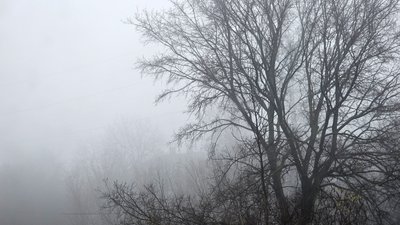 Туман та хмарна погода у Харкові