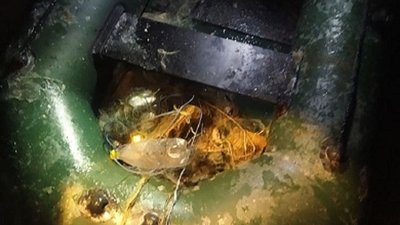 Під час рейду невідомий чоловік обстріляв івано-франківських рибінспекторів