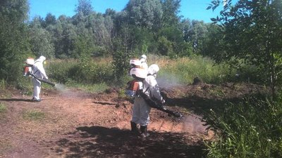 На Полтавщині продезінфікували територію, де лежали тухлі яйця