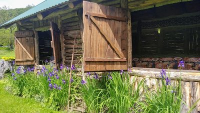 Після карантину на Тернопільщині відновлюють роботу "зелені садиби" Після карантину на Тернопільщині відновлюють роботу "зелені садиби"