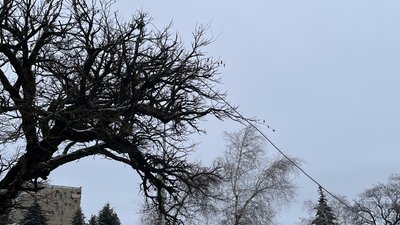 Провід, обірваний внаслідок негоди в Лозовій Провід, обірваний внаслідок негоди в Лозовій