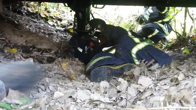 На Рівненщині кобила провалилася під міст, її діставали рятувальники