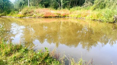 Поліція розслідує загибель трирічної дитини в штучній водоймі на Рівненщині