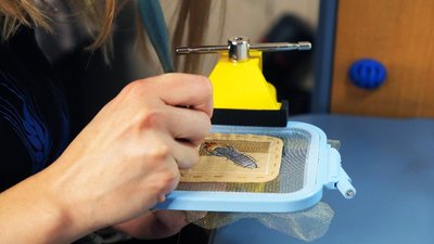 Вишиває шеврони та продає авторські прикраси: як вінничанка Анна Баланюк допомагає захисникам Вишиває шеврони та продає авторські прикраси: як вінничанка Анна Баланюк допомагає захисникам