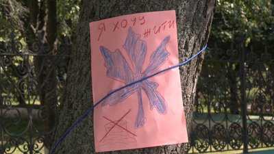 30 % каштанів на вулиці Гоголя у Ніжині у задовільному стані: чи залишать їх після реконструкції 30 % каштанів на вулиці Гоголя у Ніжині у задовільному стані: чи залишать їх після реконструкції