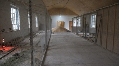 Зайці, фазани та перепілки: як вирощують тварин в лісництві на Вінничичні Зайці, фазани та перепілки: як вирощують тварин в лісництві на Вінничичні