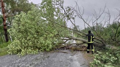 Через пориви вітру на Житомирщині без електрики лишилися 26 населених пунктів Через пориви вітру на Житомирщині без електрики лишилися 26 населених пунктів