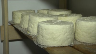 Варити сир почала на кухні: на Донеччині переселенка відкрила власну сироварню Варити сир почала на кухні: на Донеччині переселенка відкрила власну сироварню