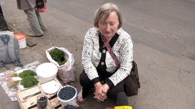 "Багато чорниць попримерзало": як на Волині цього року триває сезон збору лісової ягоди та які ціни "Багато чорниць попримерзало": як на Волині цього року триває сезон збору лісової ягоди та які ціни