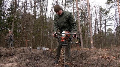 На Рівненщині почали садити ліс: які породи і площі запланували На Рівненщині почали садити ліс: які породи і площі запланували