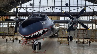 У Кропивницькому техогляд літака з "Нестримних" проводитимуть три тижні