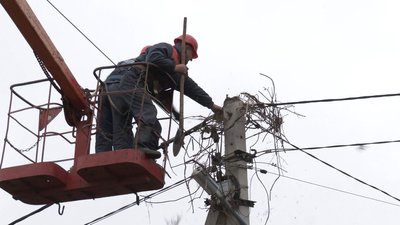 На Волині розробили нову конструкцію штучних гнізд для лелек На Волині розробили нову конструкцію штучних гнізд для лелек