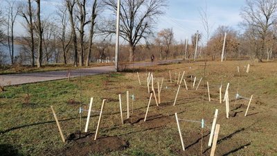 У Кропивницькому висадили дерева в пам'ять про загиблу під час пожежі лікарку Ольгу Гліву