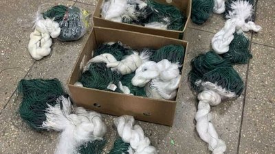 Майже 200 кг риби вилучено у браконьєрів на Херсонщині