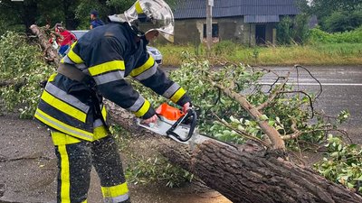 Рятувальники розпилюють повалені внаслідок негоди дерева у Чернівцях Рятувальники розпилюють повалені внаслідок негоди дерева у Чернівцях