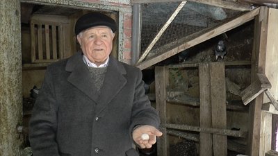 Леонід Лазьов показує яєчко «Польської рисі». З нього вилупиться голуб Леонід Лазьов показує яєчко «Польської рисі». З нього вилупиться голуб