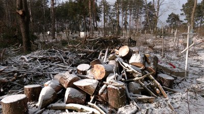 Зламані хрести, пошкоджені пам'ятники – в Ніжинському районі зруйнували могили під час вирубки дерев Зламані хрести, пошкоджені пам'ятники – в Ніжинському районі зруйнували могили під час вирубки дерев