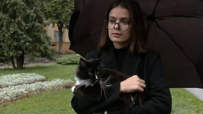 Сотня людей звернулися до клубу допомоги переселенцям з тваринами у Луцьку Сотня людей звернулися до клубу допомоги переселенцям з тваринами у Луцьку