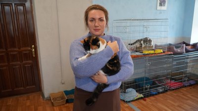 Притулок для тварин у Дніпрі потребує фінансової допомоги Притулок для тварин у Дніпрі потребує фінансової допомоги