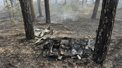 Пожежі на Чернігівщині: з початку 2026 року сталося 212 лісових пожеж