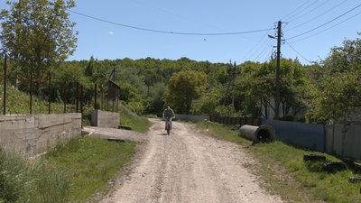 По сусідству з хижаками: що відбувається в прикарпатських селах, де фіксують напади ведмедів По сусідству з хижаками: що відбувається в прикарпатських селах, де фіксують напади ведмедів
