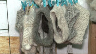 Львів'янка виготовляє шкарпетки та пояси з собачої шерсті для військових Львів'янка виготовляє шкарпетки та пояси з собачої шерсті для військових