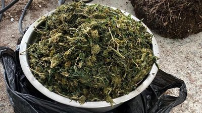 У закарпатця виявили міні-лабораторію для виготовлення наркотиків