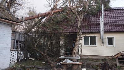 наслідки буревію на Київщині