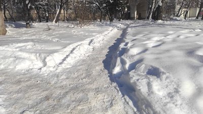 зима, сніг