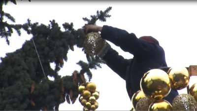 У Луцьку розпочали прикрашати три центральні ялинки У Луцьку розпочали прикрашати три центральні ялинки