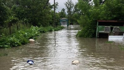 На Прикарпатті підтопило притулок для тварин. Цуциків просять взяти на перетримку На Прикарпатті підтопило притулок для тварин. Цуциків просять взяти на перетримку