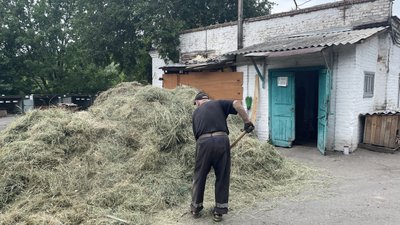 Сіно для собак у Полтаві Сіно для собак у Полтаві