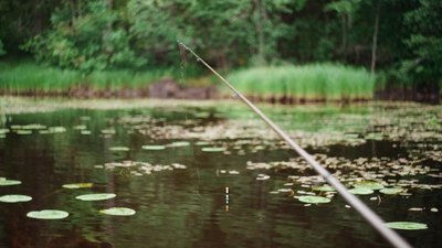 Карантин на Прикарпатті: рятувальники перешкоджають відпочинку біля водойм Карантин на Прикарпатті: рятувальники перешкоджають відпочинку біля водойм