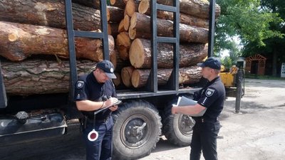 У Сновську затримали вантажівку з сосною без документів У Сновську затримали вантажівку з сосною без документів